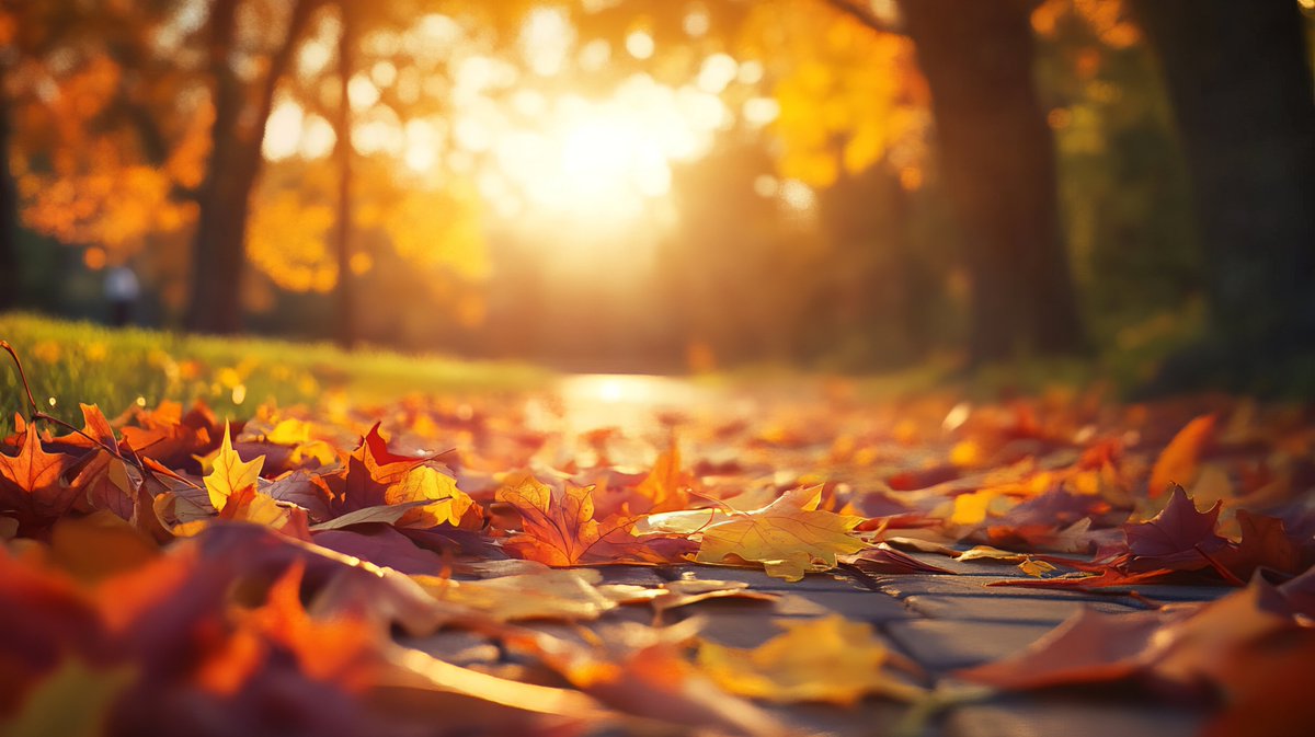 IdahoController's tweet image. 🍂First Day of Fall, Y’all! As colors change, it’s the perfect season to reflect, and explore how government works. Transparent.Idaho.gov makes it easy to see where your tax dollars go... from schools to roads to public services. Transparency isn’t just policy, it’s a promise.