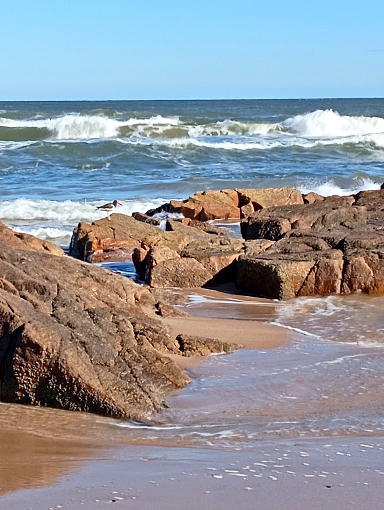 Segundo día de la primavera. Un día espléndido.