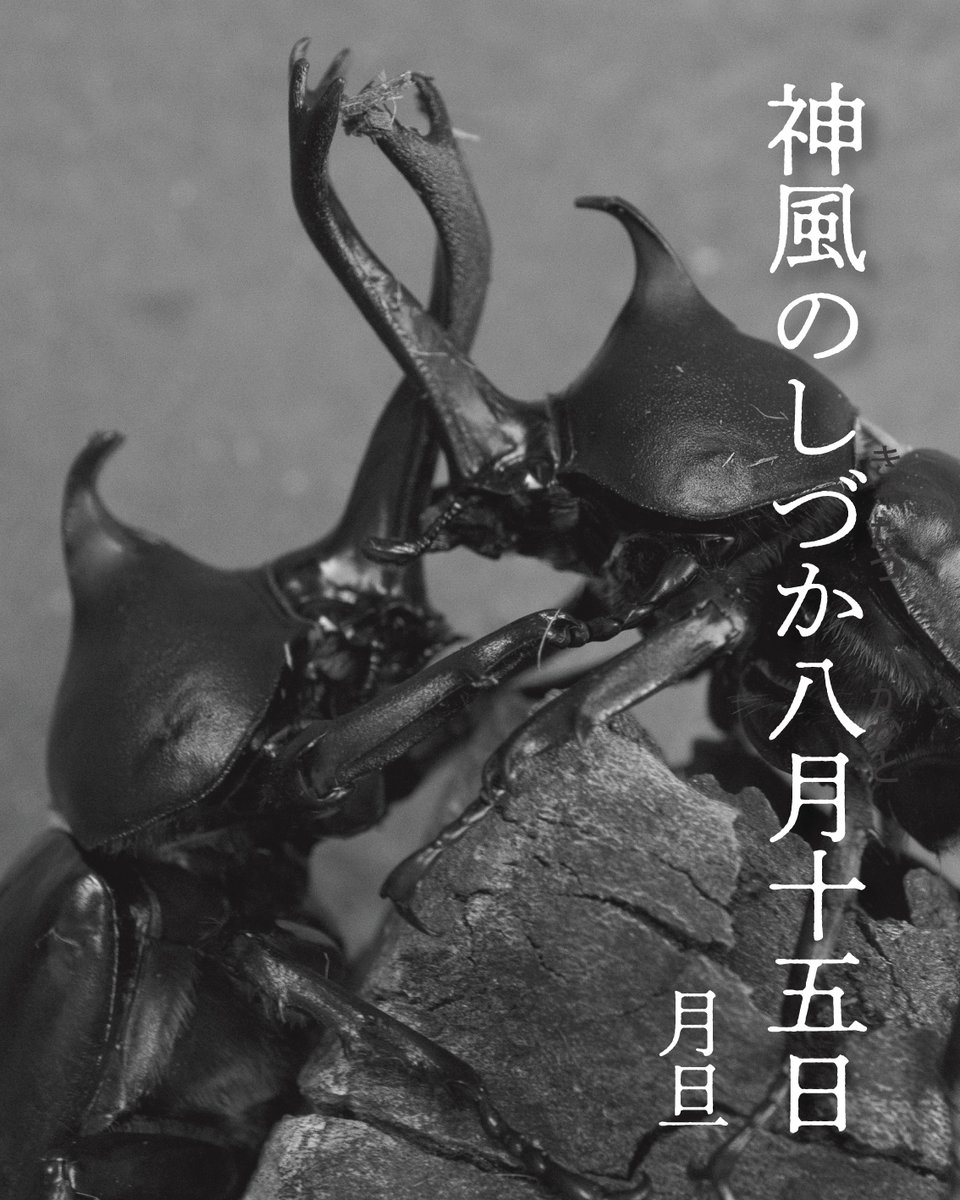 西田月旦(西田亘) (@wataru_nishida) on Twitter photo #俳句ポスト365
兼題「終戦記念日 」 中級以上 【並選】
神風のしづか八月十五日
ありがとうございました。
大相撲解説者の神風さんが好きだった。
戦中はその四股名から
謹慎処分をうけた時期もあったと。
私にも神風が吹いたことがある。
皆さんはどうでしょう
それぞれの終戦忌ありませんか? #俳句ポスト365
兼題「終戦記念日 」 中級以上 【並選】
神風のしづか八月十五日
ありがとうございました。
大相撲解説者の神風さんが好きだった。
戦中はその四股名から
謹慎処分をうけた時期もあったと。
私にも神風が吹いたことがある。
皆さんはどうでしょう
それぞれの終戦忌ありませんか?
