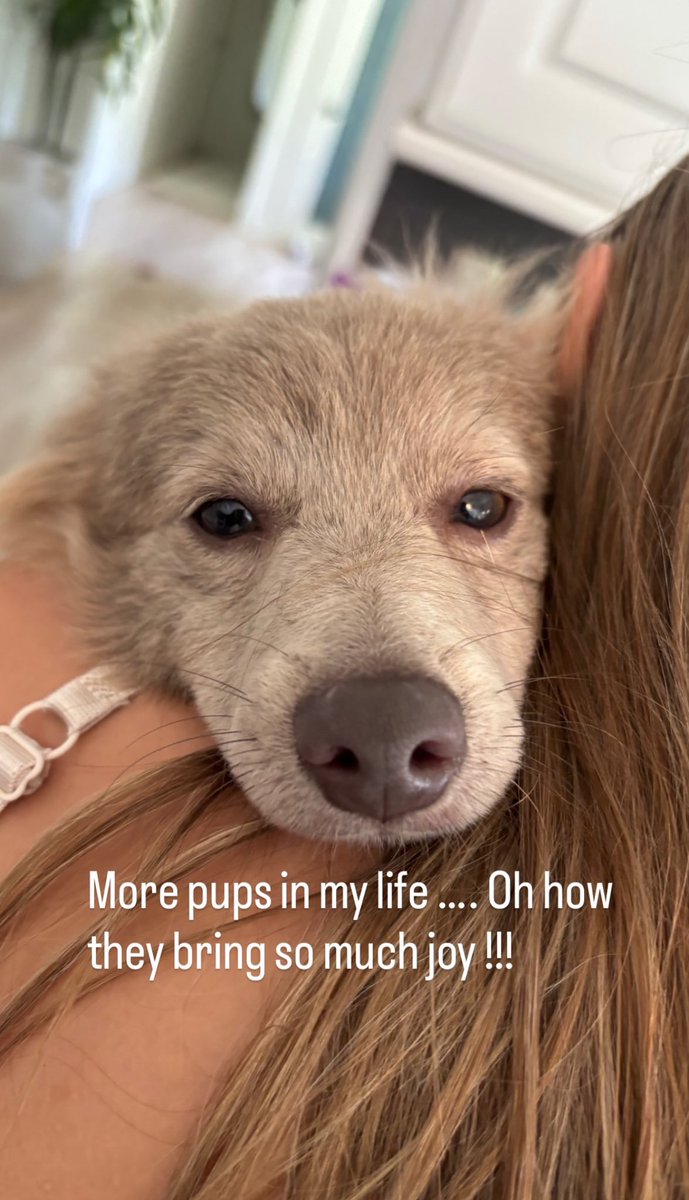 Jeremy Renner (@rennernews_) on Twitter photo 