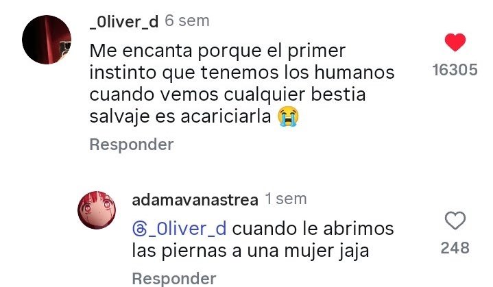 ProyectadsJamon's tweet image. 