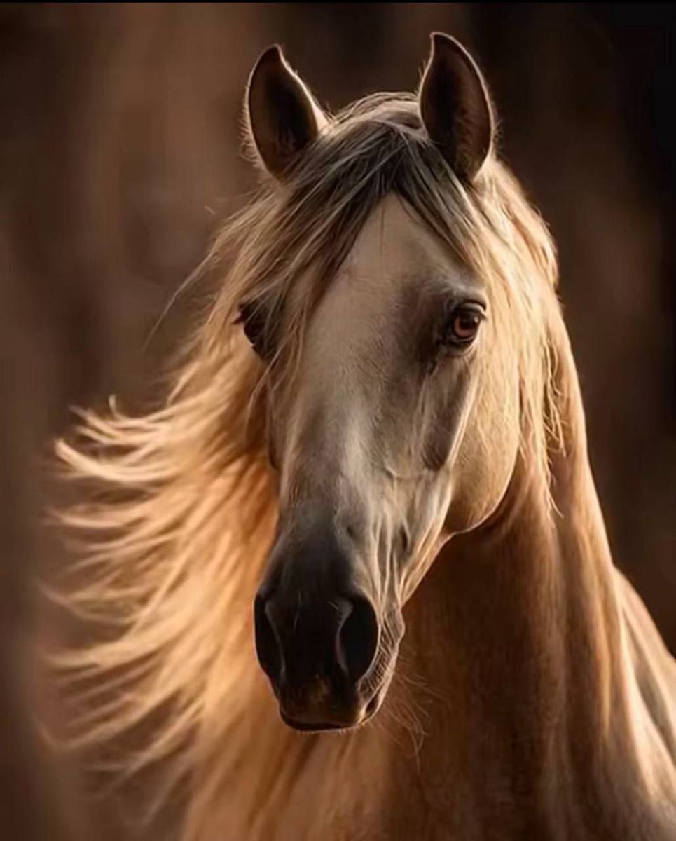 ما كنت بـ ععيوني مجرد عابر
كنت الحياه‍ اللي عجزت اعبرها🖤