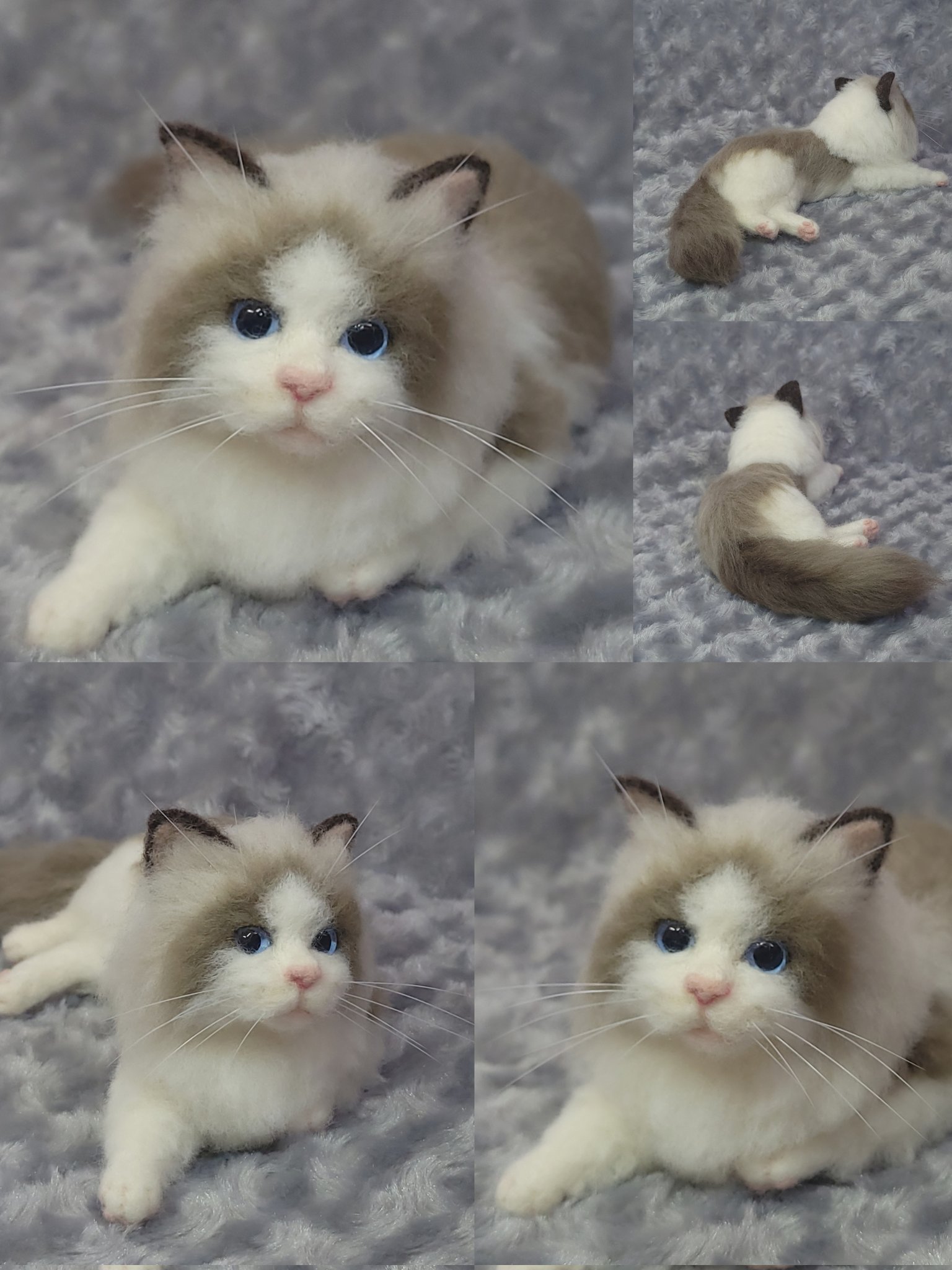 羊毛フェルト　猫　ラグドールちゃん 専用出品 羊毛フェルト ハンドメイド ラグドールの猫ちゃん 子猫