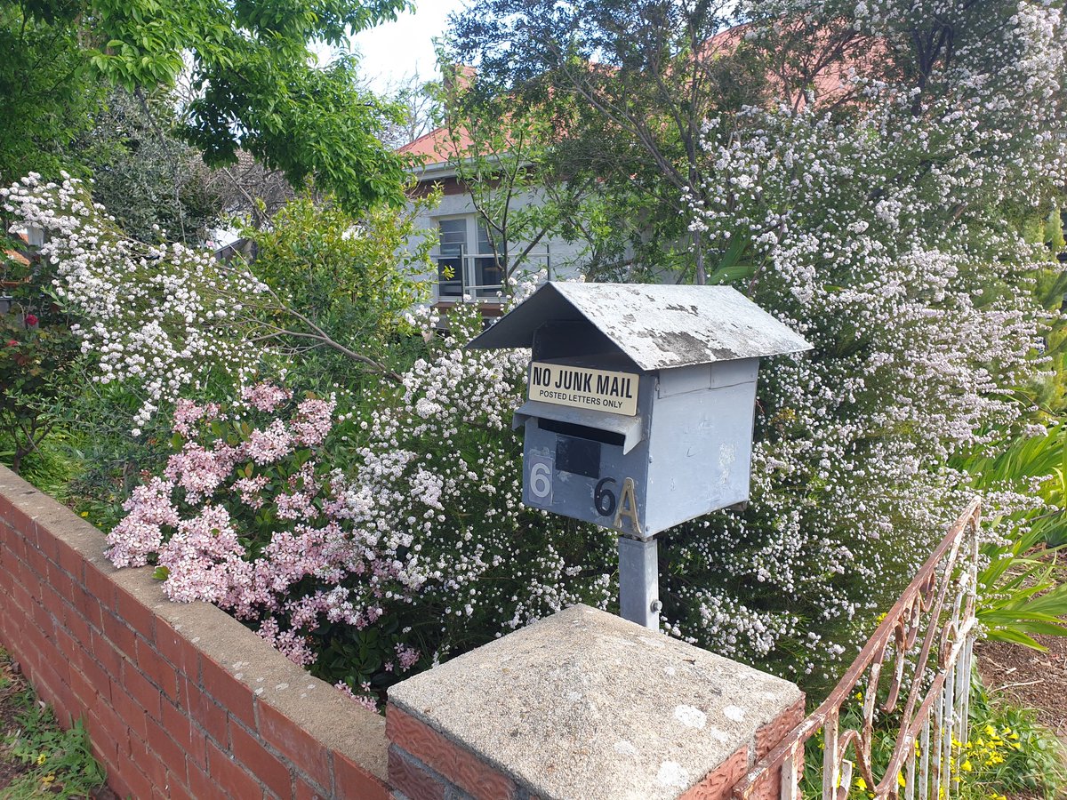 heltweet's tweet image. Good morning
#DailyWordleClub
#TalkingTuesday
Fast 3
The day is pristine
Just waiting to be explored
Kangaroo Island Movie at the Cinema?
Or a nice long walk?
A game of 2 up?
Win/Win
#Wordle1557 3/6
⬜⬜⬜⬜🟨🕊
⬜🟩🟩🟩🟩🤞
🟩🟩🟩🟩🟩💃
#Spring is at our front gate