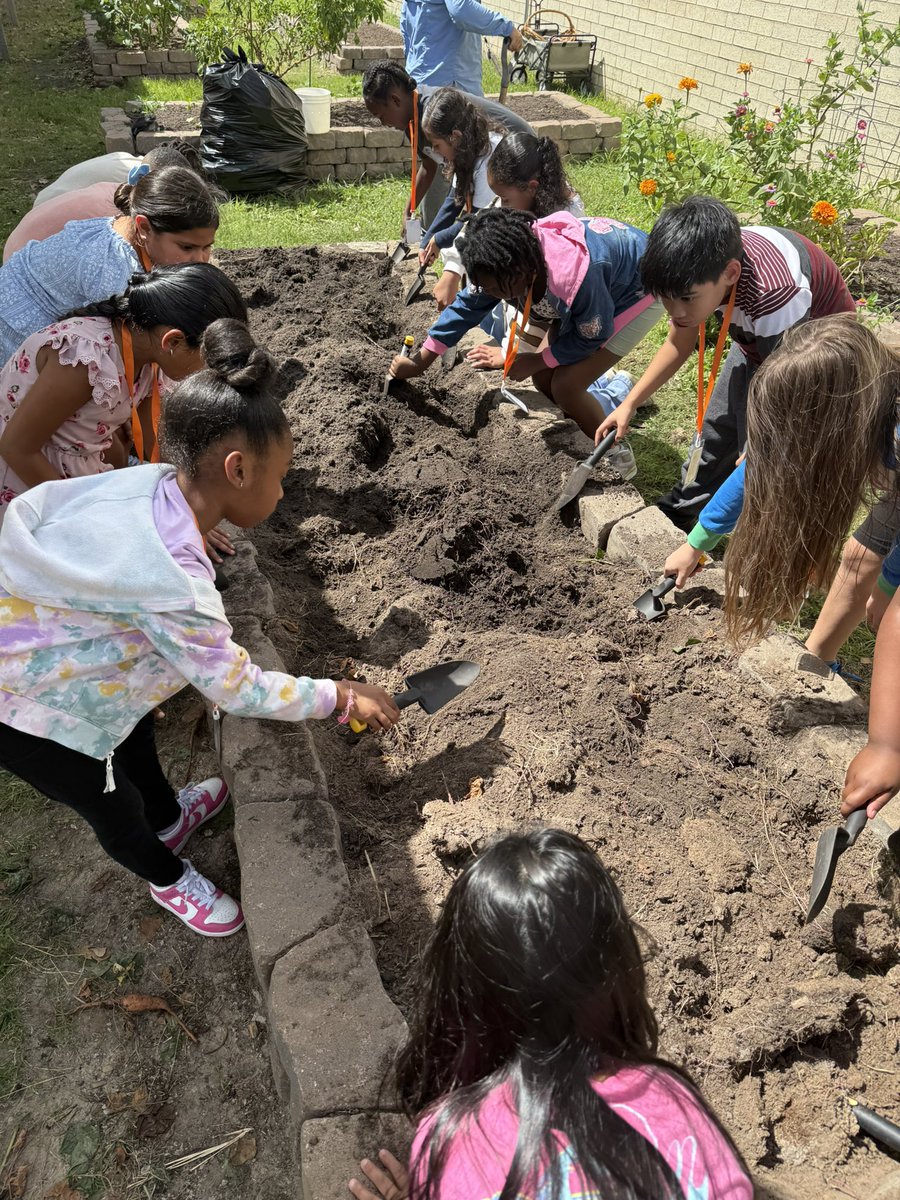 Kelsi Ford tweet media