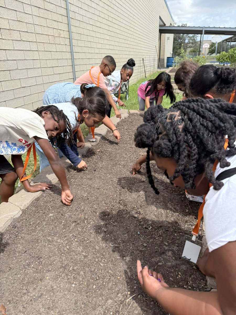 Kelsi Ford tweet media