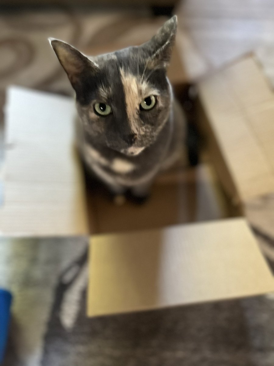 do you want it or do you others to know you have it?