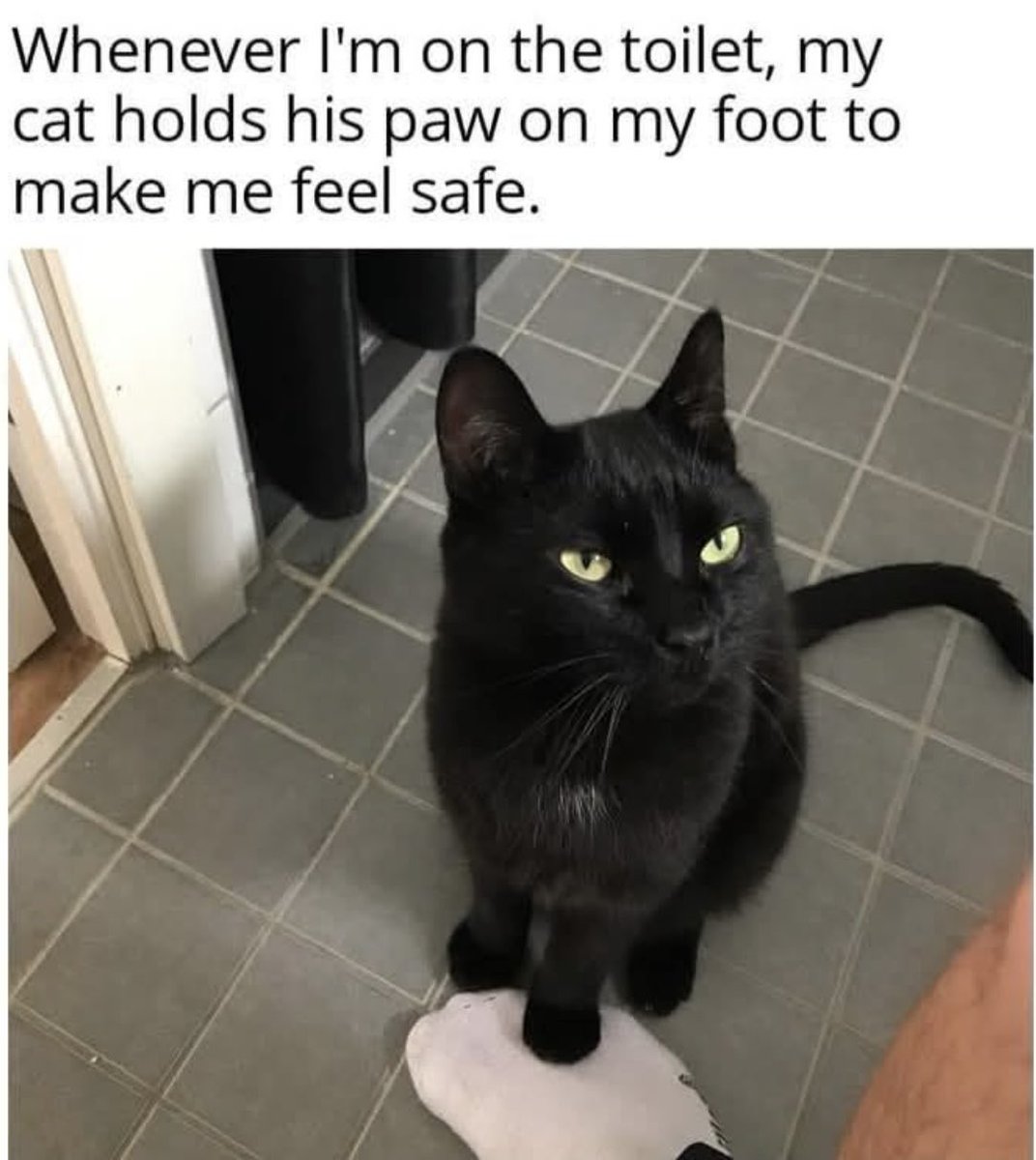 dcd728's tweet image. Awww #kitty #protecting #Mom in the #bathroom