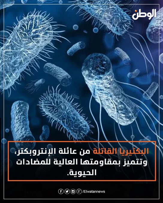 🚨 BREAKING: A deadly bacteria outbreak hits Israel — hospitals in Tel Aviv shut their doors to patients.