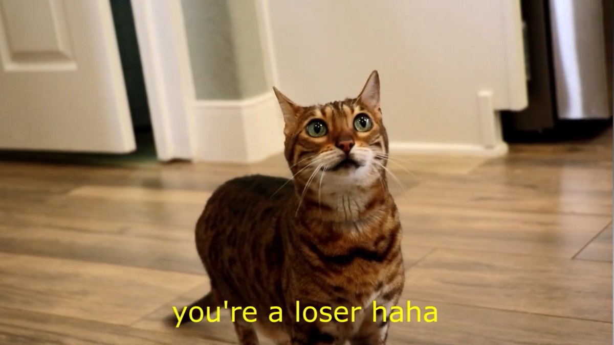 The cat can talk?!? Find out why by checking out our digital shorts The Aside and Street Credit! 

Street Credit: youtu.be/-PIYc2pLqV4?si…  

The Aside: youtu.be/e37tgz8elag?si…