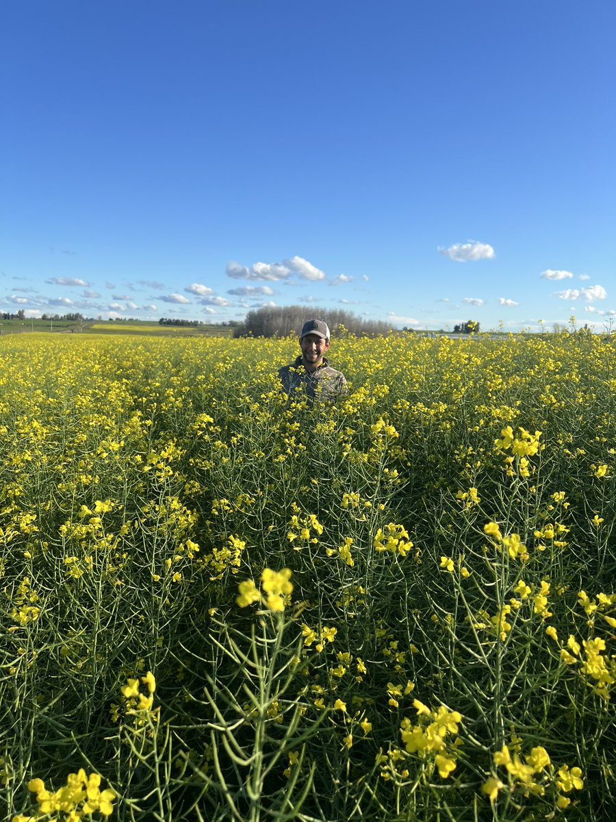 Hernan Gonzalez tweet media