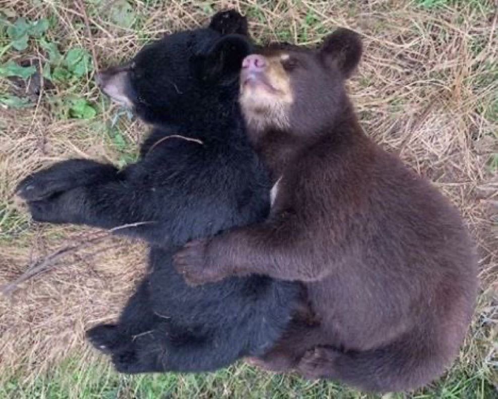 If we were Bears  We could hibernate together... heh