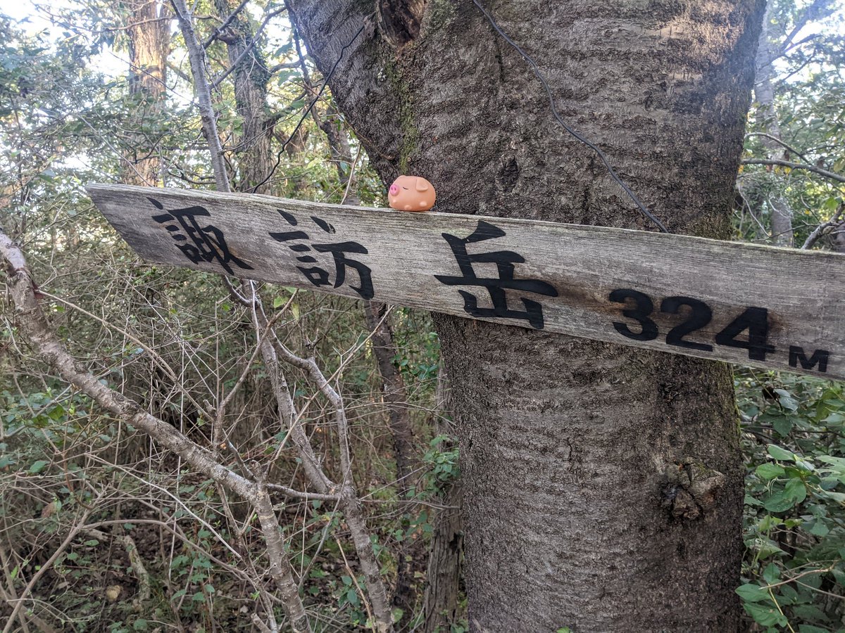 JJ1PIG / さいたまNH113 (@jj1pig) / Posts / X