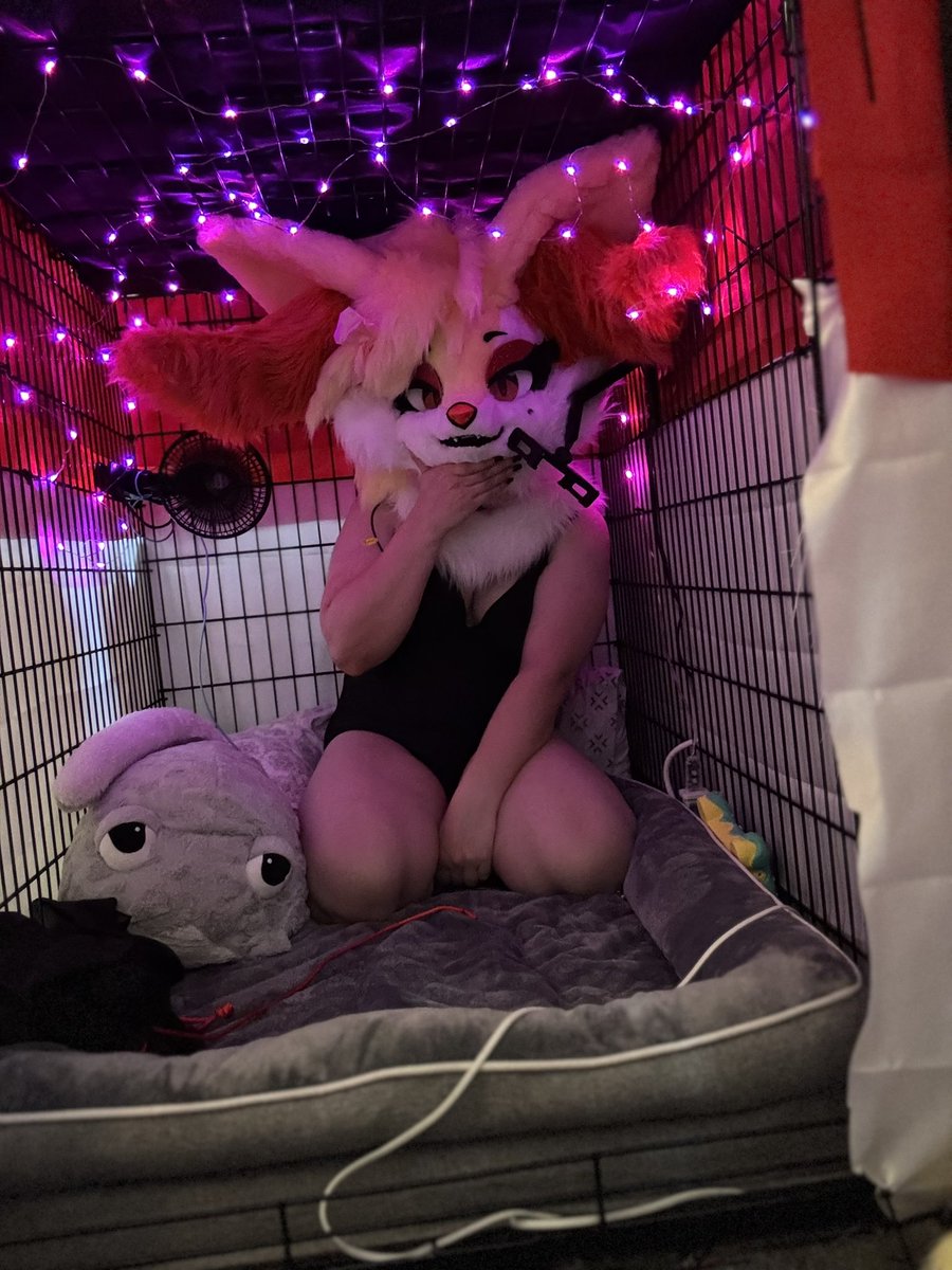 a braixen tweet media