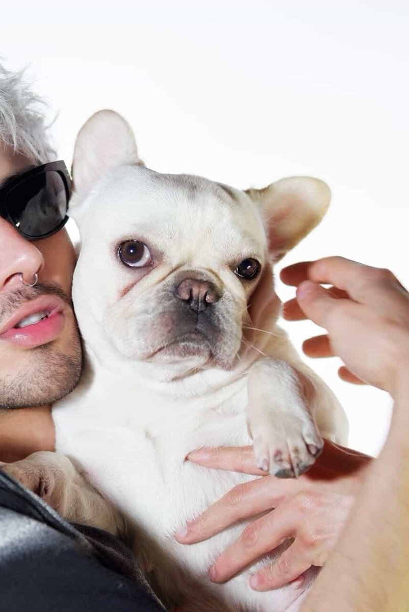 ✃ᵛᵃˡᵉᵉᵉᵉ tweet media