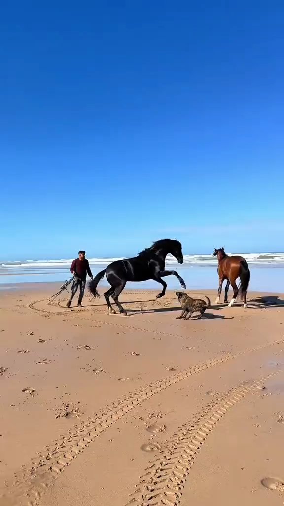 ✨自由は心の翼、幸せは生命の太陽です。🌈