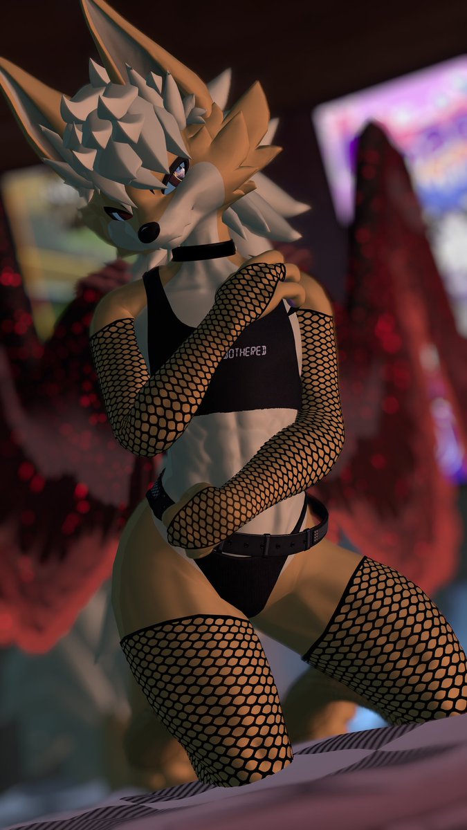 King Charlie Dingo tweet media