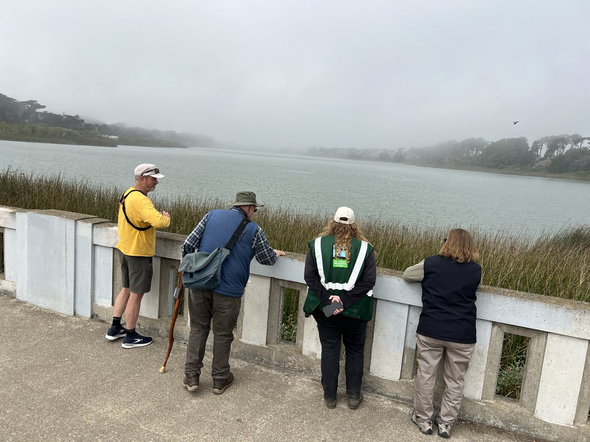 RefuseRefuseSF's tweet image. Meeting of the Bobs and the @RecParkSF team to discuss ways the community can help improve the area of Lake Merced Park.
Specifically the concrete bridge that connects the two sides which has the potential to be a more inviting gathering space.
Stay tuned, volunteers needed.