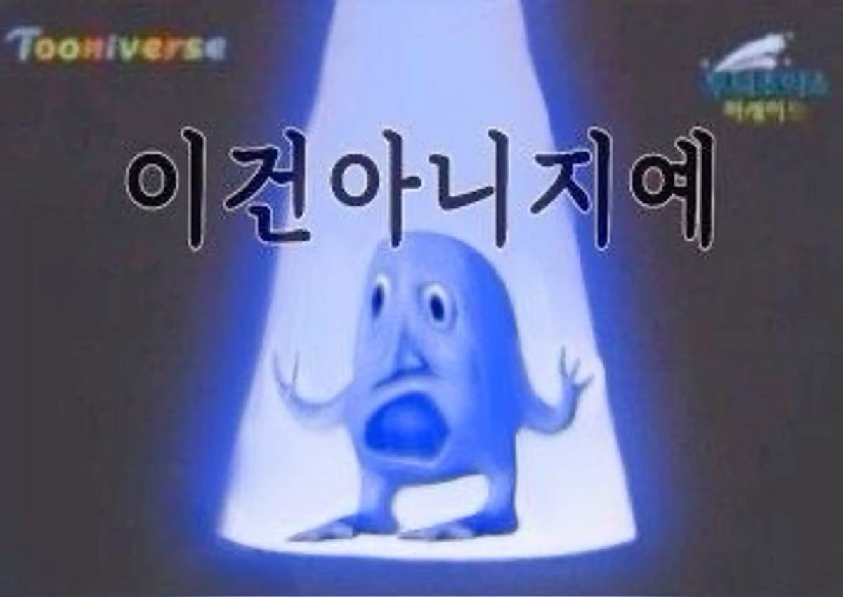 내가 엔하이픈이 없는 대한민국에서는 살아갈 이유가 없습니다...