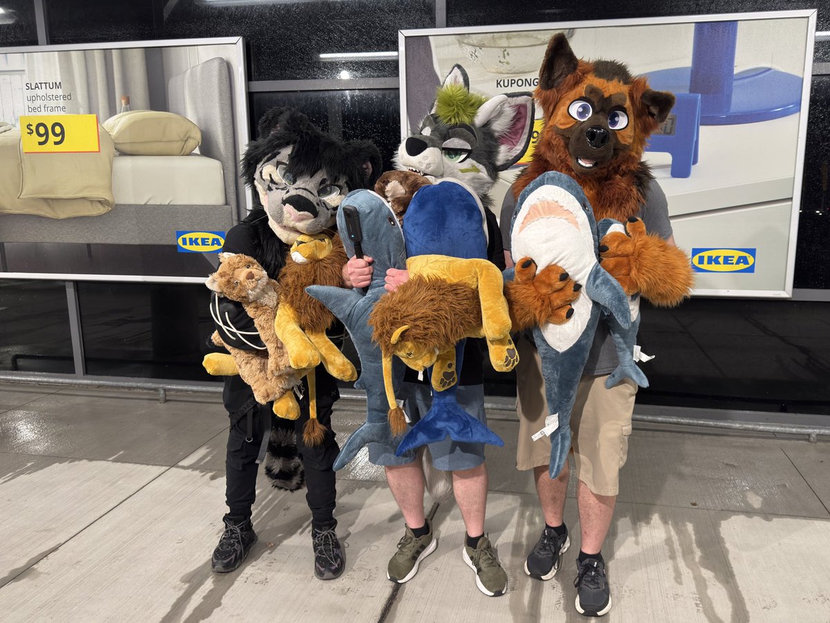 Fursuiting in IKEA?

SUCCESS!  

Everyone was so nice! Editing and posting video tonight :3

with <a href="/FluffyTy19/">Tyler</a> <a href="/Savvahakita/">Säv~🪖</a> <a href="/Roadkill_Otter/">Roadkill Otter</a>