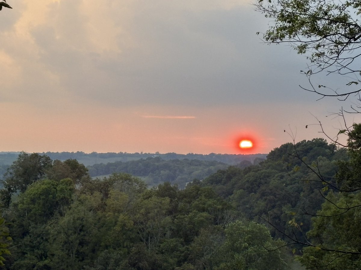 Meanwhile in MuleTown