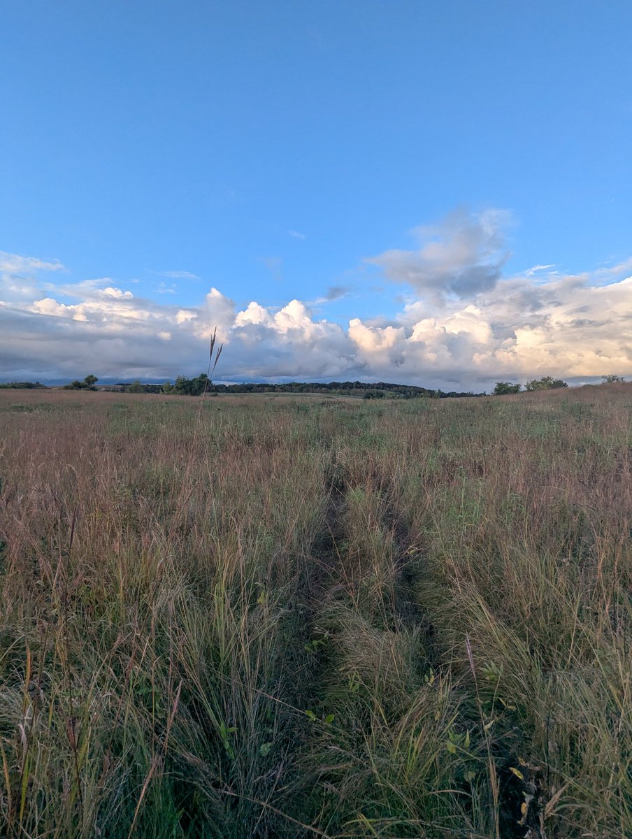 DBerget's tweet image. Got out for my first sit of the season the other night, felt good!