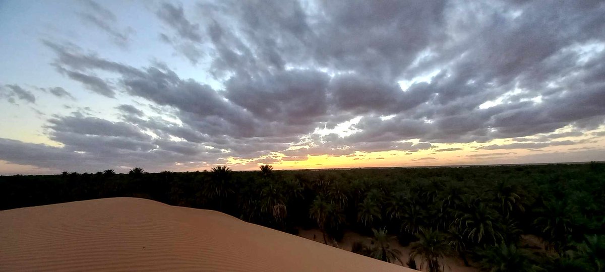 oth_1997's tweet image. #Algeria #الجزائر 🌴🏜