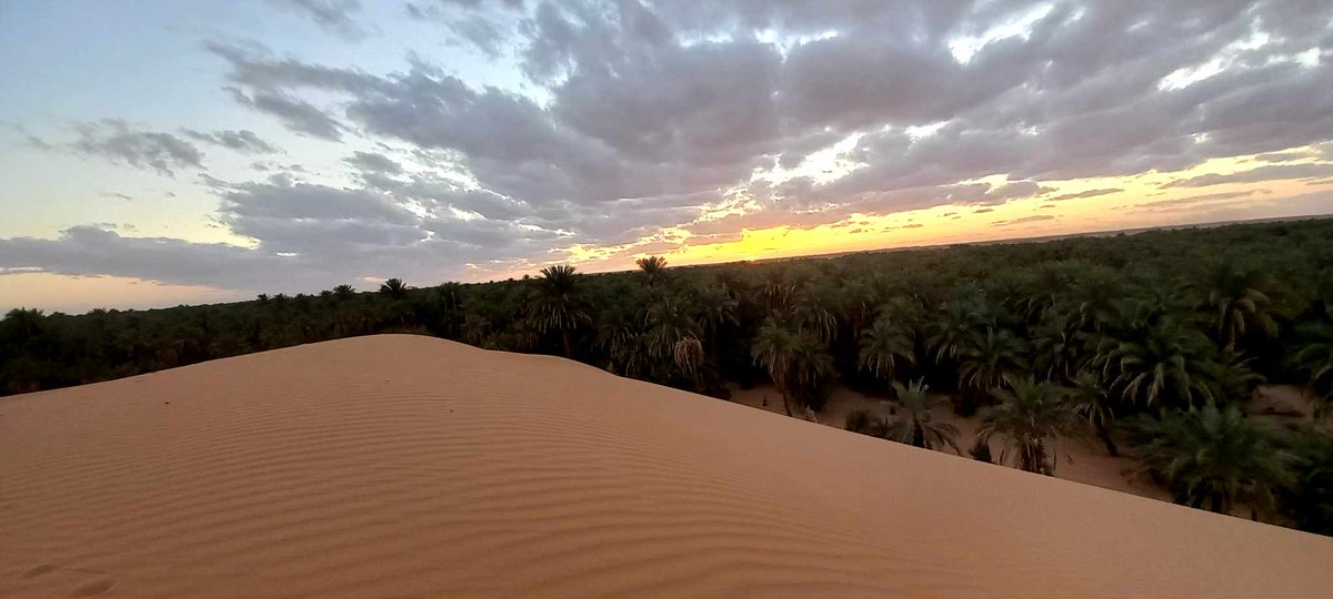 oth_1997's tweet image. #Algeria #الجزائر 🌴🏜