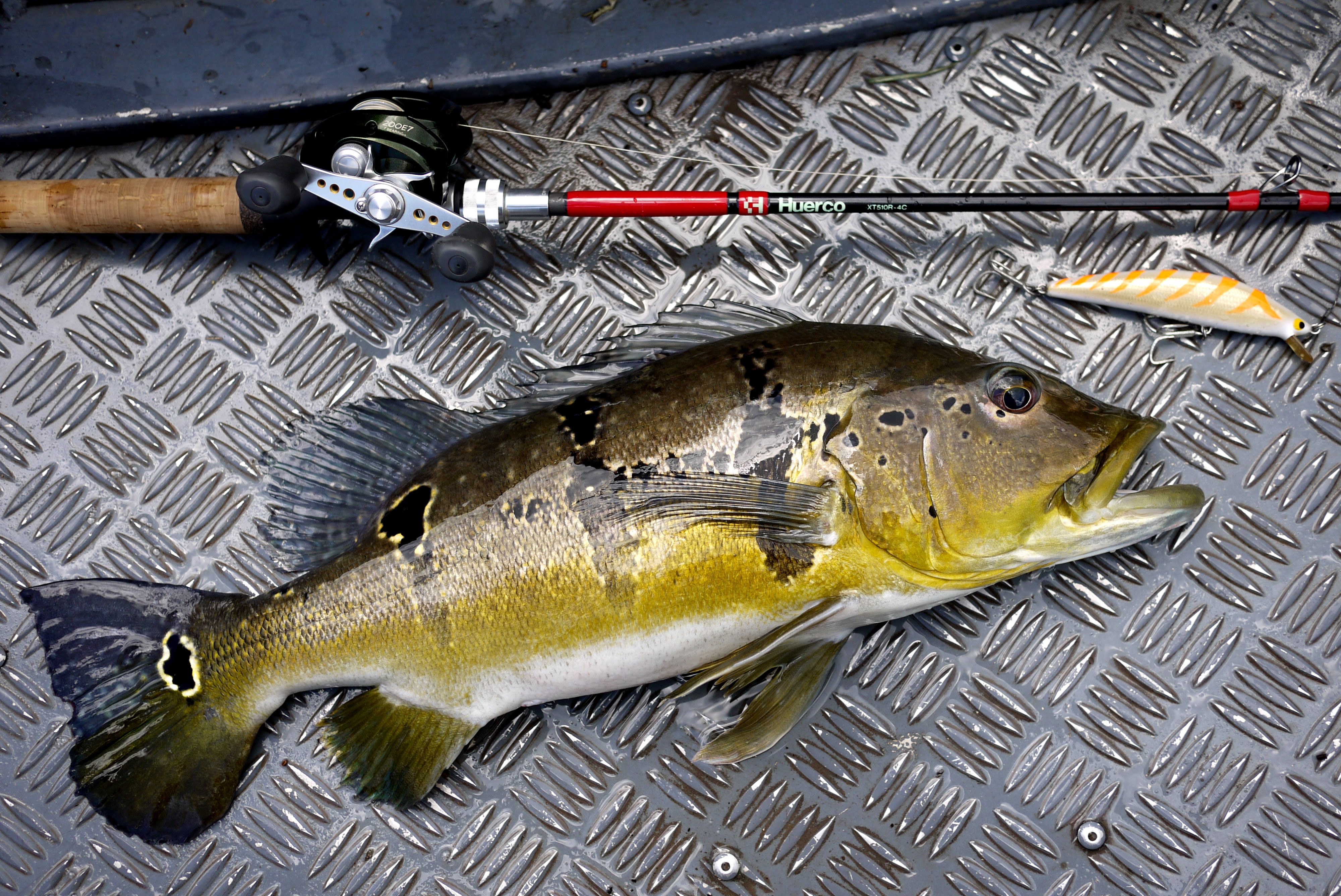 ハゼ釣りおじさん (@hazetsuriojisan) / X