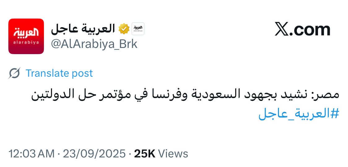 الحكومة المصرية تلجم اللجان وتشيد بجهود السعودية