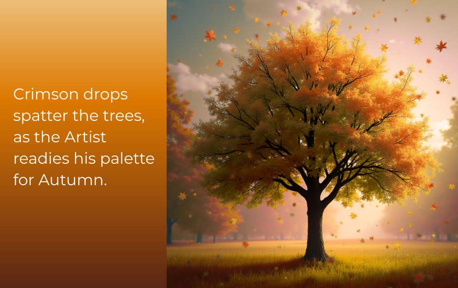 Stacy Clements tweet media