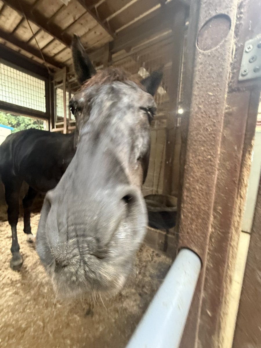 fukubaz's tweet photo. ぐわっ https://t.co/OSmk0Ti9qc