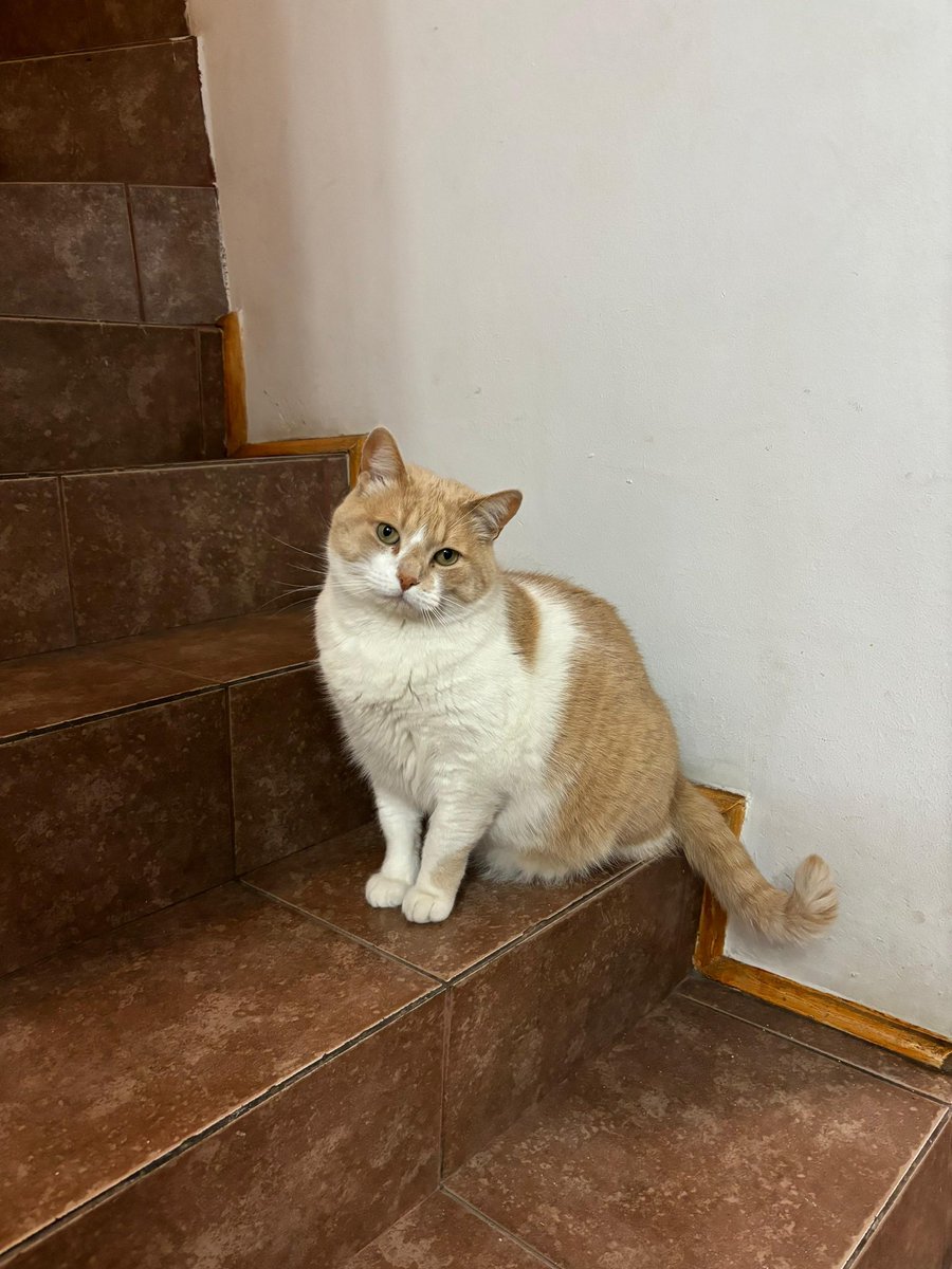 Rocio 🌸 tweet media