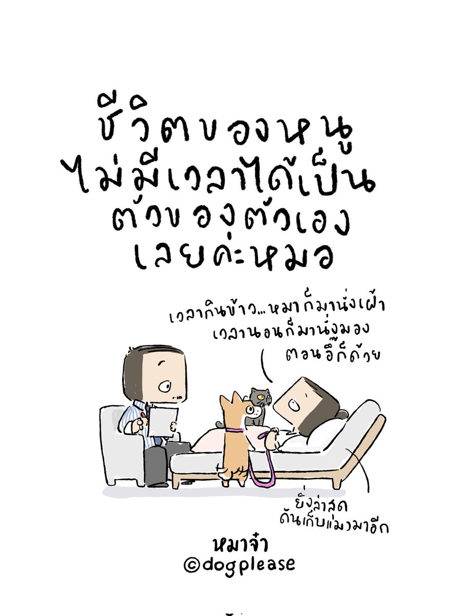 หมาจ๋า (@dogplease2013) on Twitter photo 