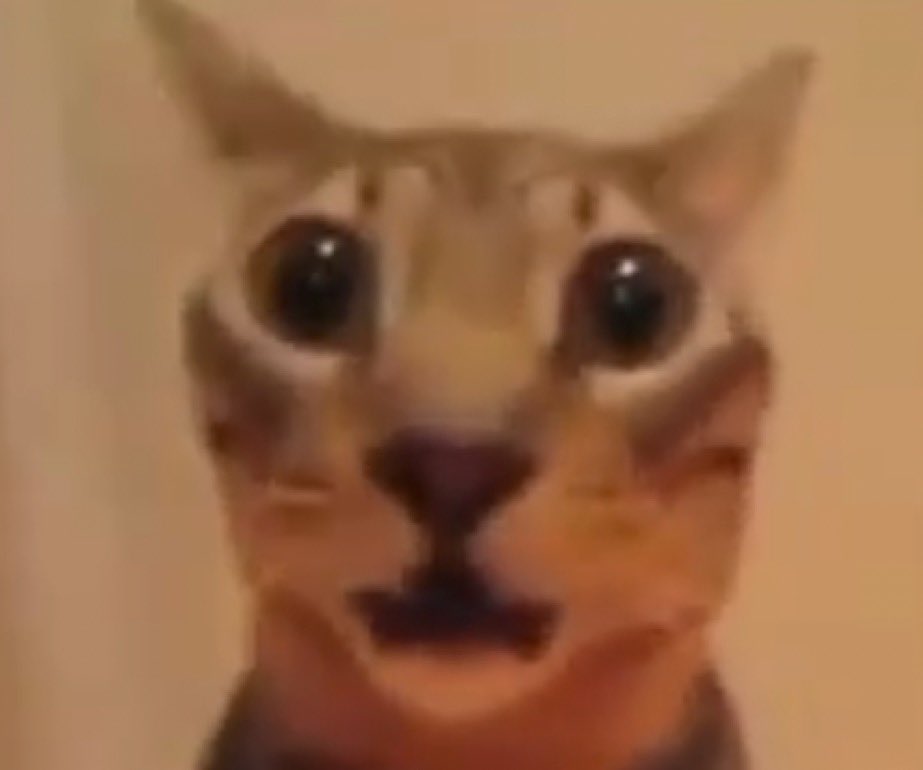 Sandwich tweet media