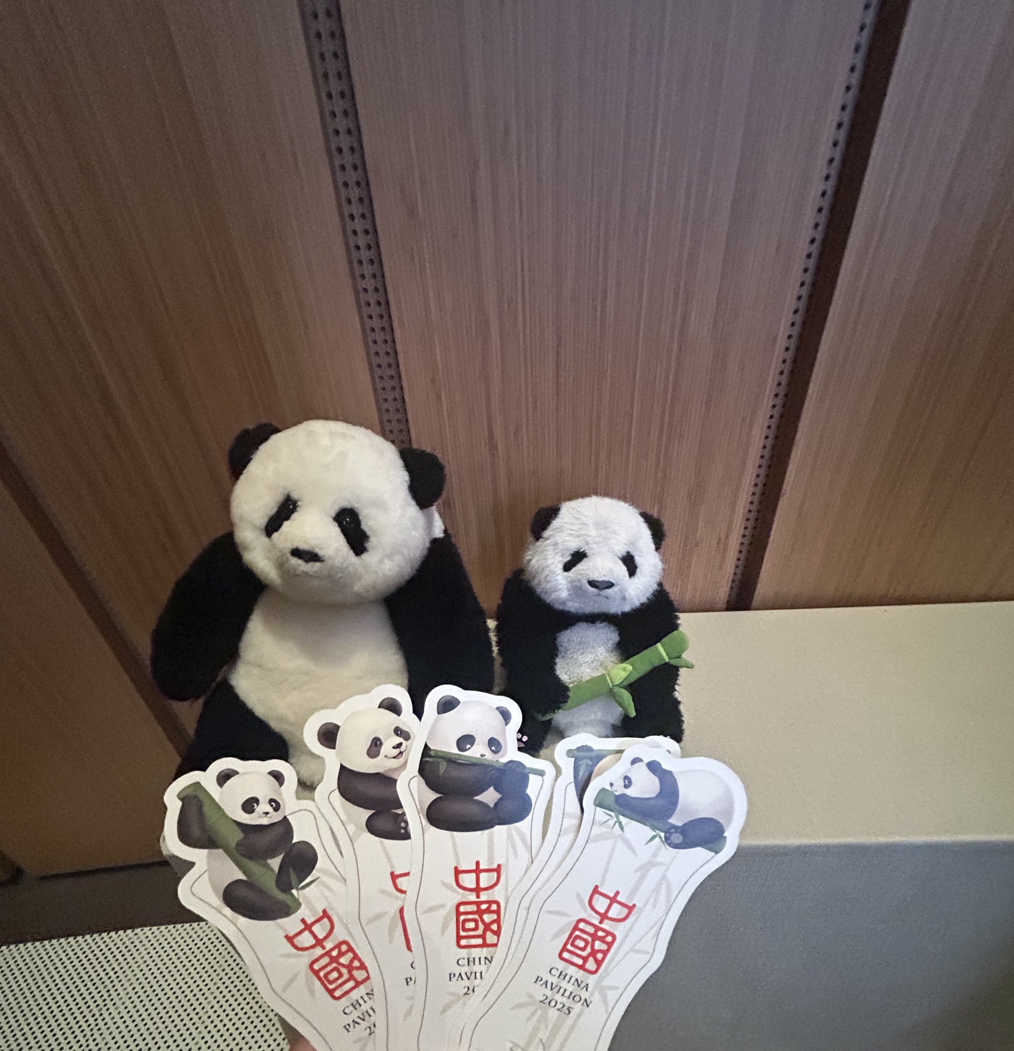 ☆大阪関西万博 2025 中国館 パビリオン 数量限定 公式パンダ ぬいぐるみ