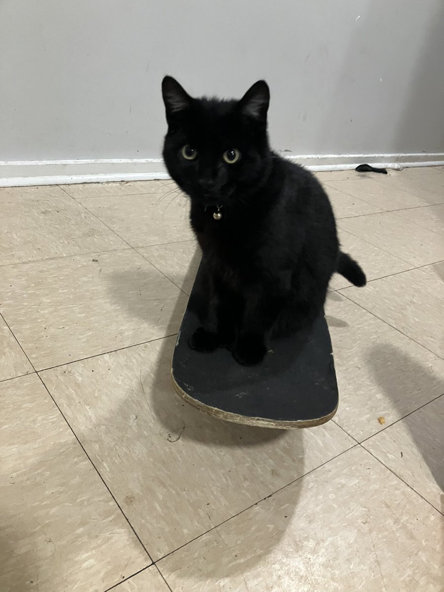 Wanna see me do a trick