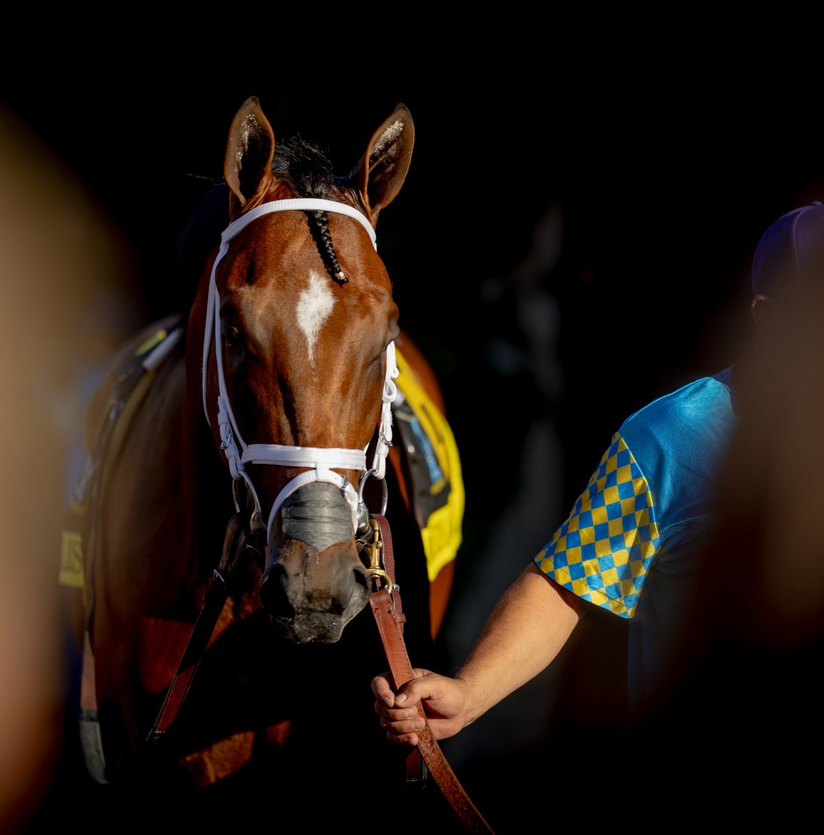 DelMarRacing's tweet image. Saddling up for #BingSeason 🏇

Happy #FirstDayofFall, Del Mar.