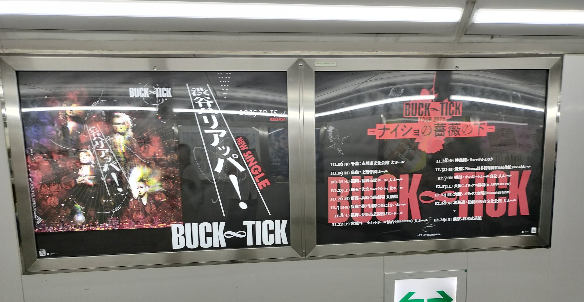 BUCK-TICK　スノードーム 🌸すのう(ΦωΦ)🌸 (@manjusaka22) / X