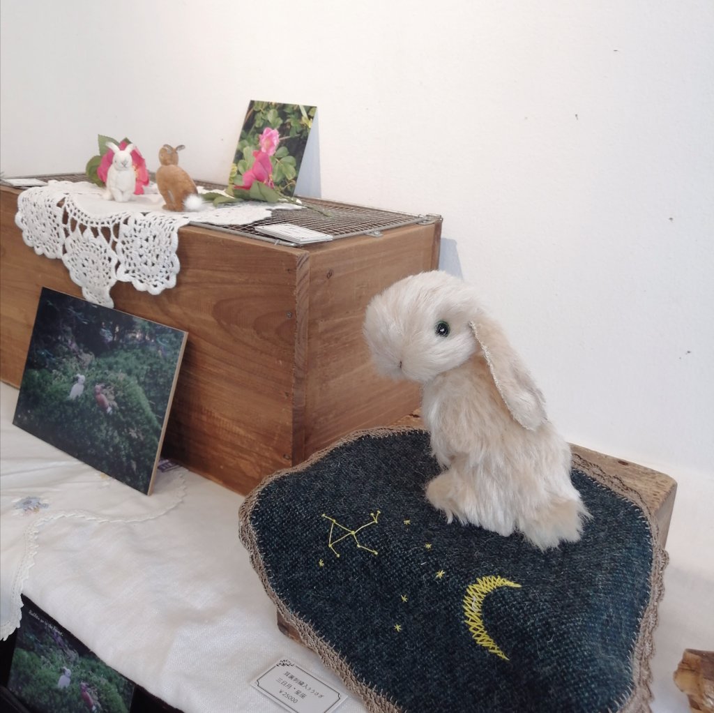 yukocoomomo's tweet photo. coomomo個展
「うさぎたち、森へ行く」

小さな森の入口をオープンしました。本日最終日。19時まで開けています。夜の森もいいものですよ…✨

#うさぎたち森へ行く #個展
#うさぎ #Rabbit #TeddyRabbit
#染花 #ハンドメイド #西荻窪 #ギャラリーマド https://t.co/HfDkOOyTIY
