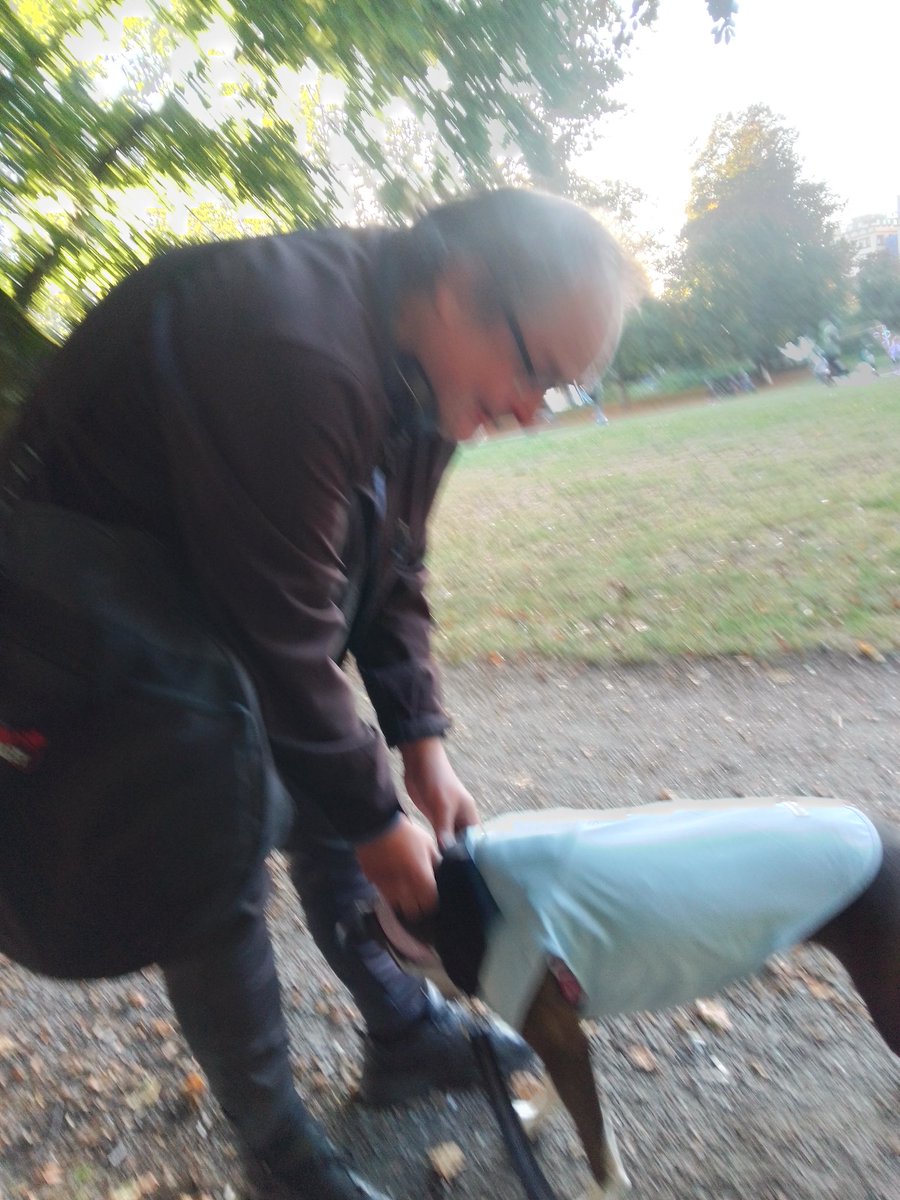 LebrockTony's tweet photo. MonππποΈπΎπRiley's Uncle Aaron ππΎChillaxinAfterWalk
#dogfriends #dogs365 #chill #pitipiti #pibblelife #parklife #agoodday #afternoonmood
#pittbullnation #bluenose #MadamRiley https://t.co/XREVTMhZ7B
