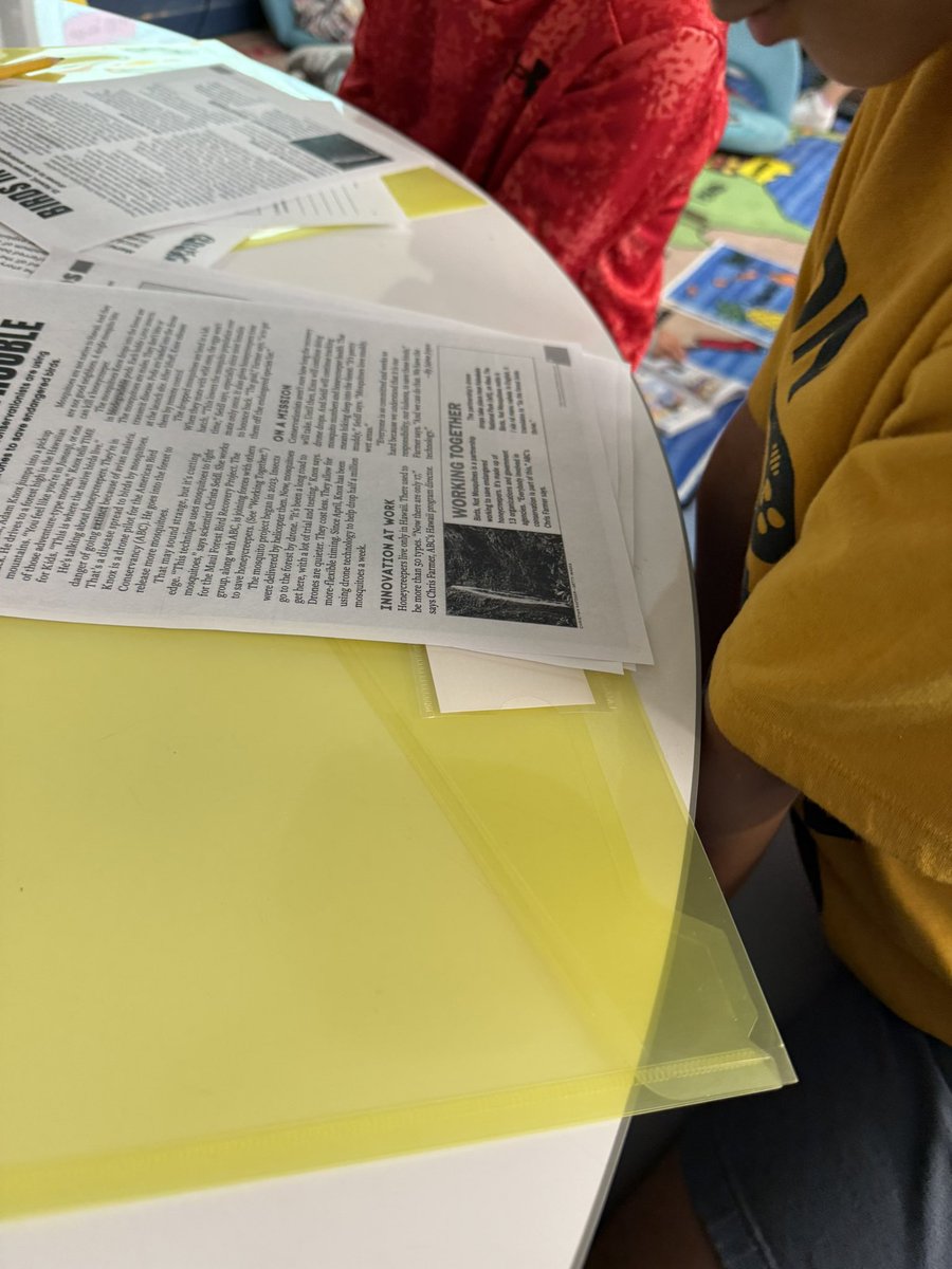 Baby steps - introducing the first reading workstation to two of my small groups! It tied in perfectly with our science lesson on mosquitoes 😅