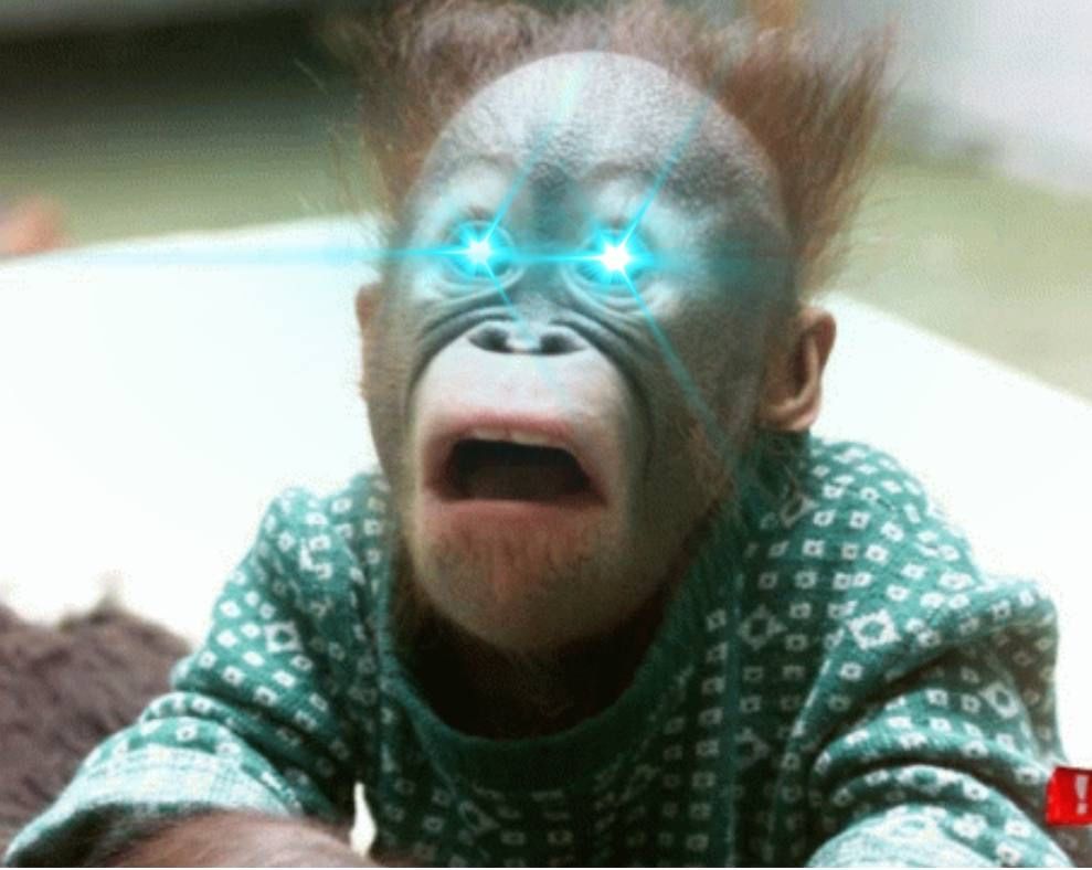 RavientXRD tweet media