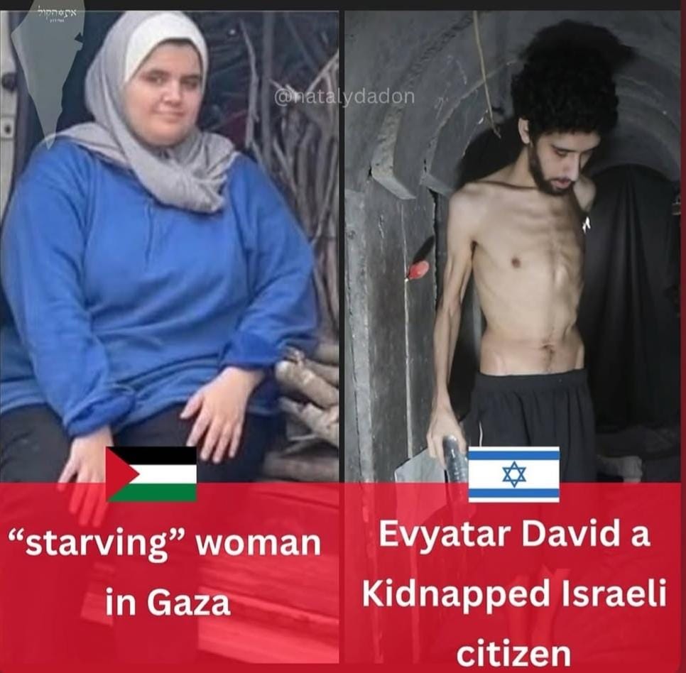 Eli Afriat 🇮🇱 tweet media