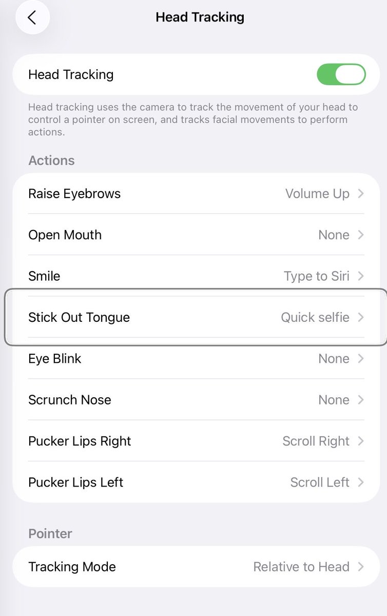 jimmygunawanapp's tweet image. #Shortcuts iPadOS or iOD 26 idea Head tracking on, Stick Out Tongue to take "Quick Selfie".