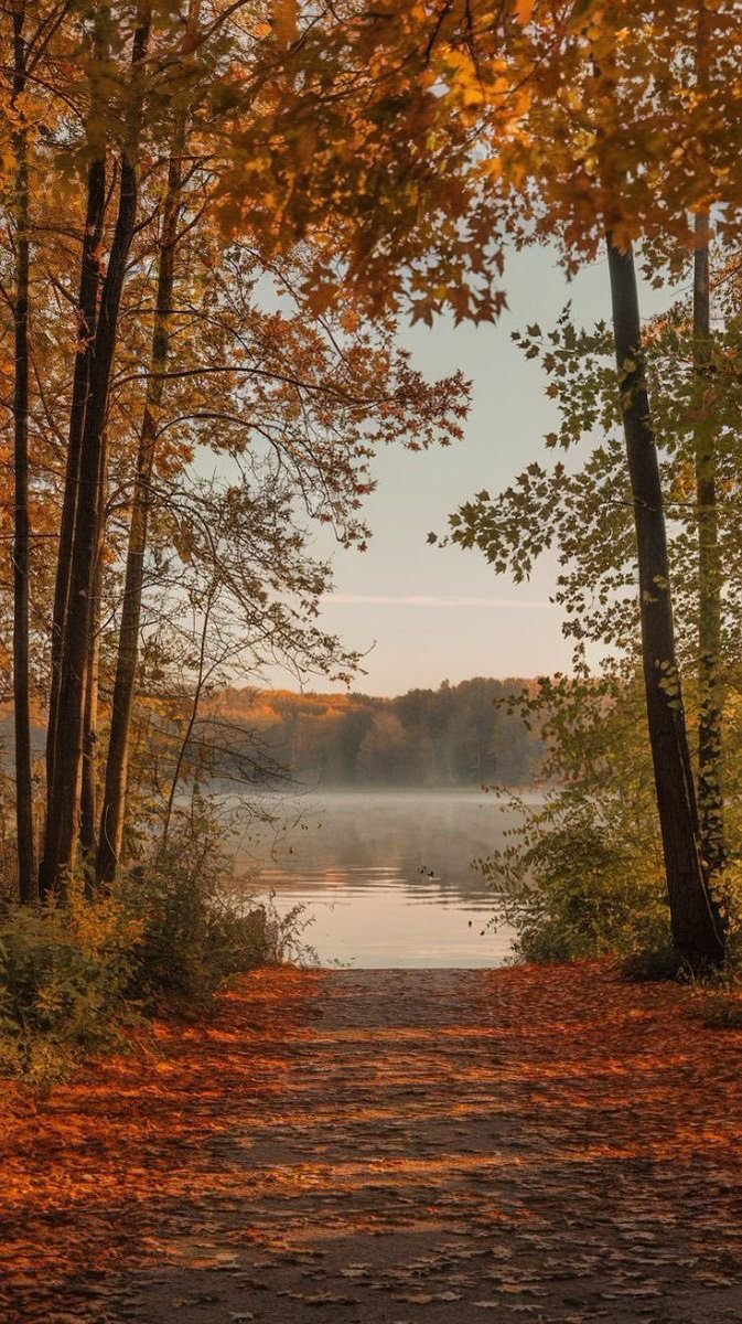 ‘Life starts all over again when it gets crisp in the fall.’
—F. Scott Fitzgerald 
The Great Gatsby