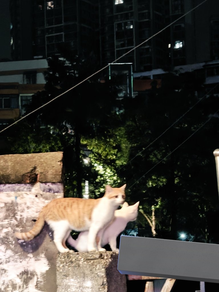 $88$ (@x23j11y) on Twitter photo 