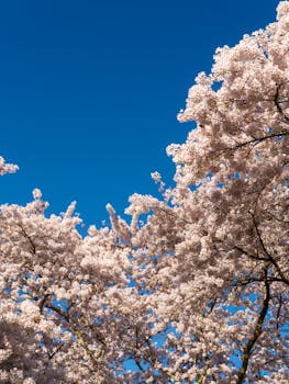 こんにちは～🤭