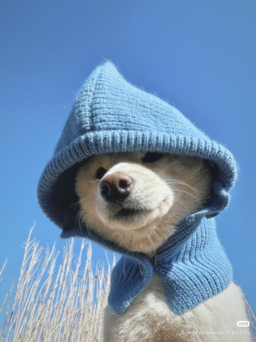 tattoos i would get if i had money (@twtpictures) on Twitter photo 