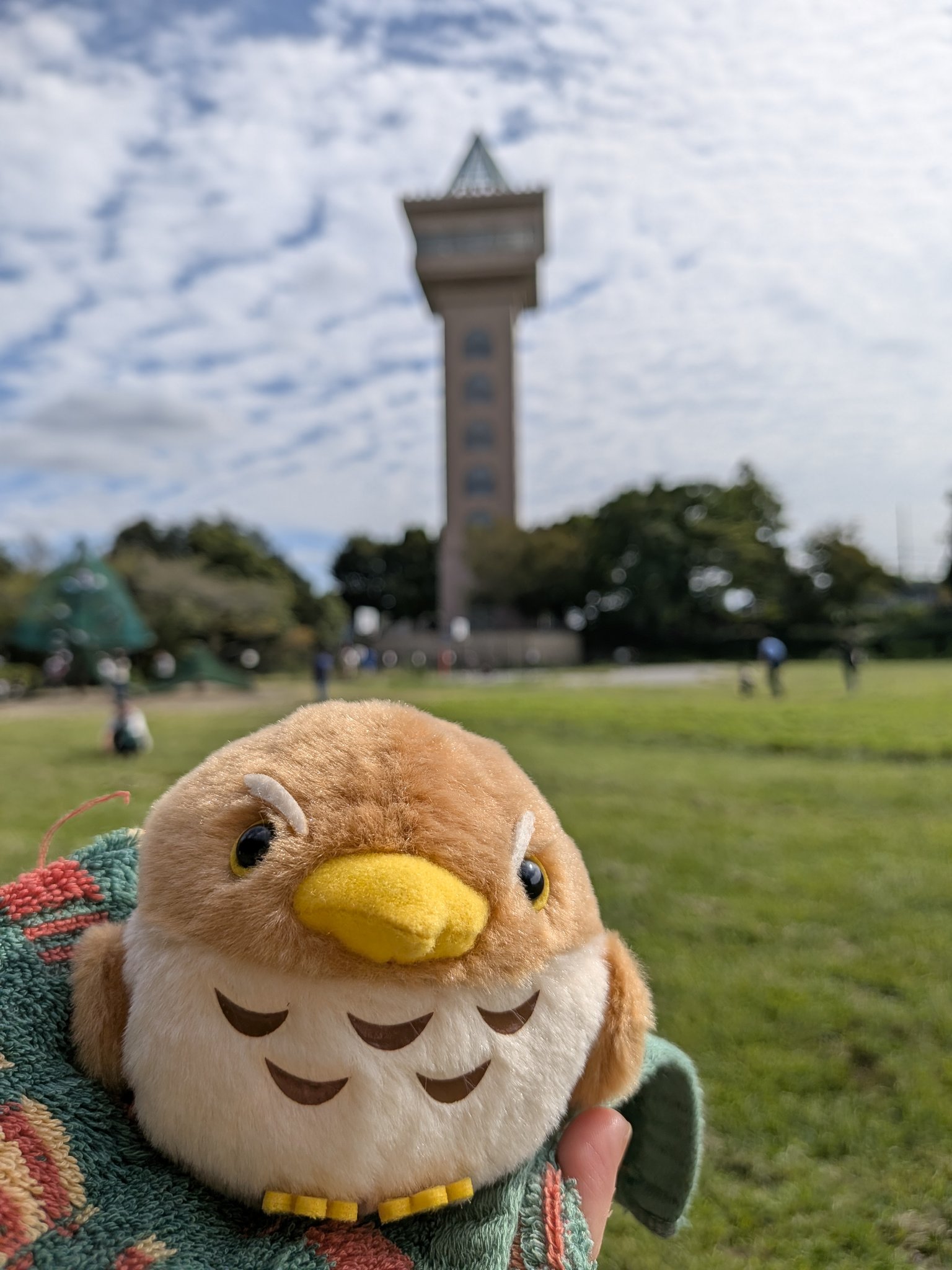 まめたん810 まめたん (@lapin145) / X